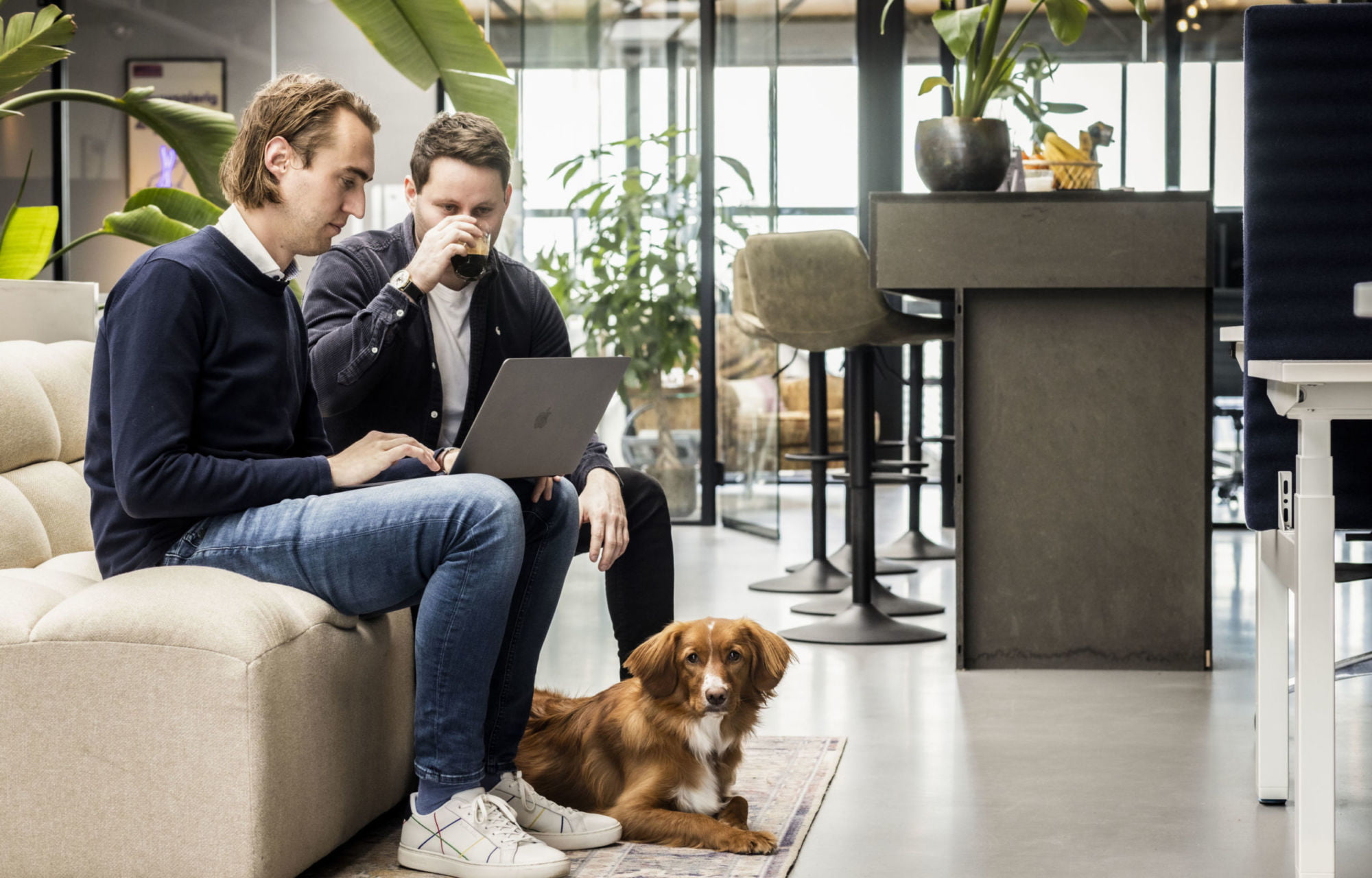 newHR_SearchX_07A8294